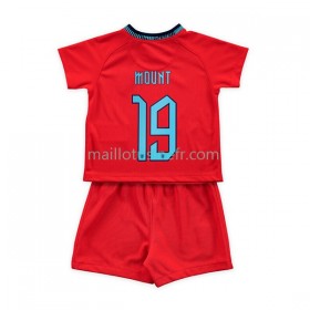 Maillot de Foot Angleterre Mount 19 Extérieur Coupe du monde 2022 - Enfant